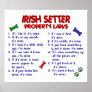 Search for irish setter posters Cute