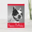 Recherche de french bulldog puppy cards Chiot