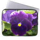 Search for pansies cases Flora