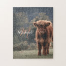 Search for highland cow puzzles Calf