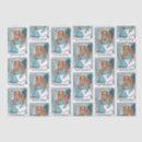 Search for medical tissue paper Surgery