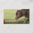 Recherche de ranch business cards Boeuf