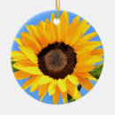 Search for blue sky ornaments Summer