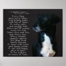 Recherche de nouveau chien art Amoureux des chiens