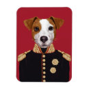 Recherche de jack russel magnets Animal