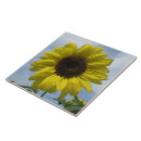 Search for summer sunflower tiles Sunflowers