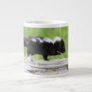 Search for skunk mugs Forest