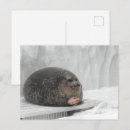 Recherche de ronde forme cartes postales Friend