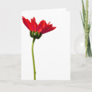 Search for simplicity cards Nature