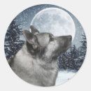 Search for norwegian elkhound Xmas