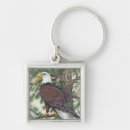 Search for bald eagle keychains Wild life