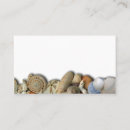 Search for seashell pictures Pictures of seashells