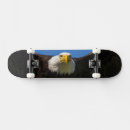 Recherche de tête skateboards Vol