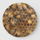Recherche de ruche horloges Nature