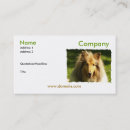 Recherche de colley cartes visite Animal familier