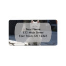 Search for west highland white terrier return address labels Dogs