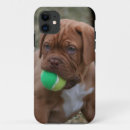 Search for bordeaux iphone cases French mastiff