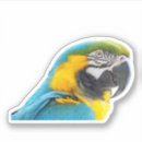 Search for macaw parrot stickers Cute