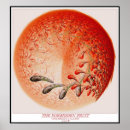 Search for forbidden fruit Abstract