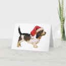 Search for helpers cards Animals