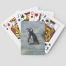 Search for penguins playing cards Animal