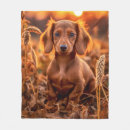Search for dachshund thanksgiving Autumn