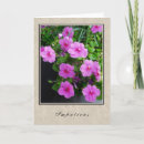 Search for series Flowers