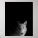 Search for black wolf posters Black and white