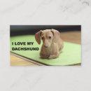 Recherche de saucisse cartes visite Doxie