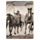 Search for chasing Animals