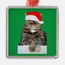 Recherche de cats ornaments Funny