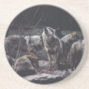 Search for wolf coasters Wildlife