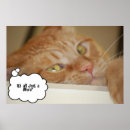 Recherche de ophtalmologue posters Humour