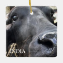 Search for india ornaments Travel