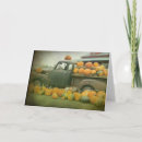 Search for patch photography Orange