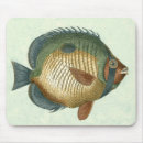 Search for fins mousepads Animal