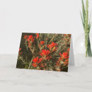 Search for red wildflowers cards Nature