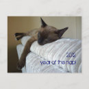 Search for napping photography Funny