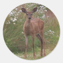 Recherche de faon autocollants Nature