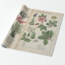 Recherche de art vintage papier cadeau Rose