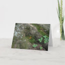 Search for homing cards Whimsical