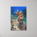 Search for sea horse canvas prints Nautical