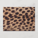 Search for surfacing postcards Wildlife