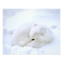 Recherche de manitoba posters Hiver