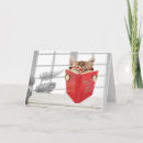 Search for cat in glasses cards Funny