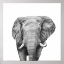 Recherche de african safari posters Black and white