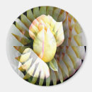 Search for peace magnets Pink