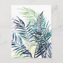 Recherche de feuille palmier cartes postales Tropical