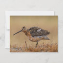 Search for for bird watcher postcards Birder