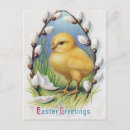 Recherche de poussin jaune cartes postales Bébé